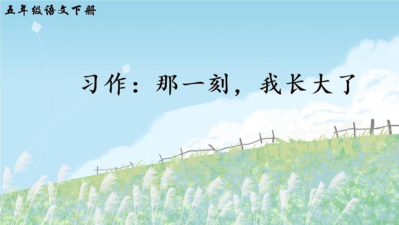 部编版语文五年级下册  习作一：那一刻，我长大了  课件PPT+教案03