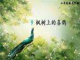 9《枫树上的喜鹊》课件PPT+生字课件+教案+音视频素材（含课文朗读）