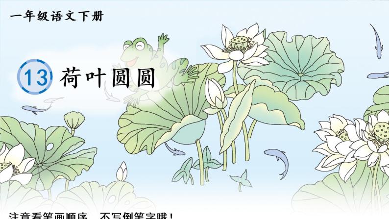 13《荷叶圆圆》课件PPT+生字课件+教案+音视频素材（含课文朗读）01