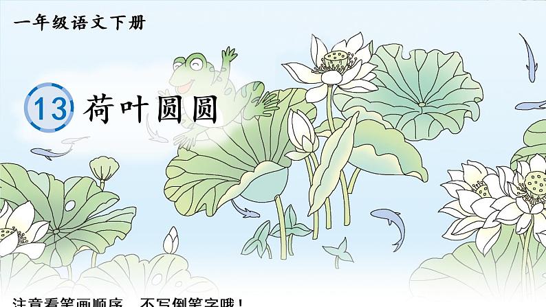 13 荷叶圆圆（生字讲解）第1页