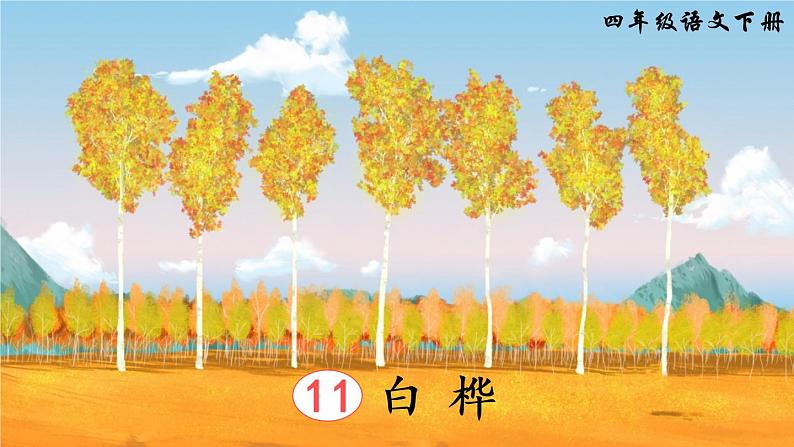 11《白桦》课件PPT+生字课件+教案+音视频素材（含课文朗读）02