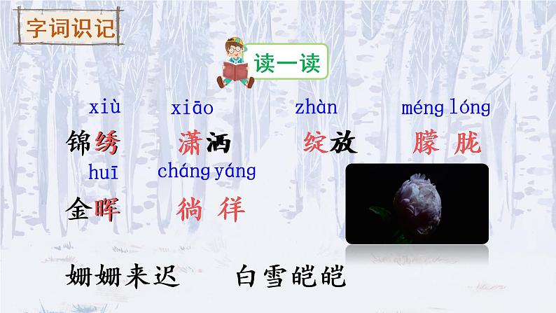 11《白桦》课件PPT+生字课件+教案+音视频素材（含课文朗读）05