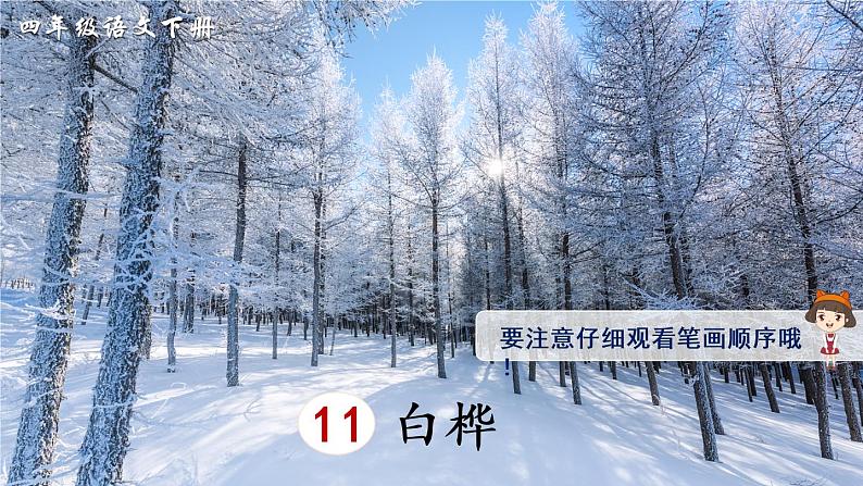 11《白桦》课件PPT+生字课件+教案+音视频素材（含课文朗读）01