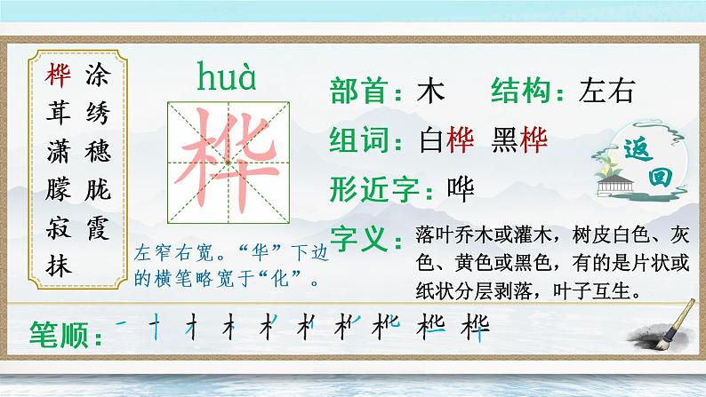 11《白桦》课件PPT+生字课件+教案+音视频素材（含课文朗读）03