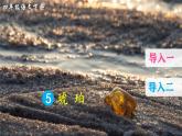 5《琥珀》课件PPT+生字课件+教案+音视频素材（含课文朗读）