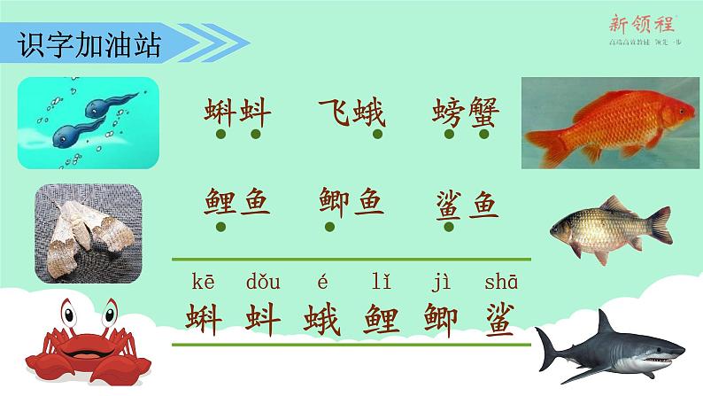 （课堂教学课件）语文园地六第7页