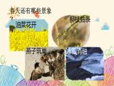 部编版小学语文一年级上册4 四季（第2课时）课件