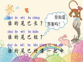 部编版小学语文一年级上册6 比尾巴（第2课时）课件