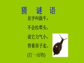 部编版小学语文一年级上册14《小蜗牛》（课件）