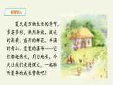 六年级上册语文人教部编版 16.夏天里的成长   课件