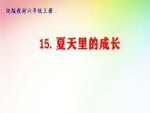 六年级上册语文人教部编版 16.夏天里的成长   课件