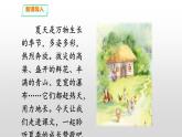 六年级上册语文人教部编版 16.夏天里的成长   课件