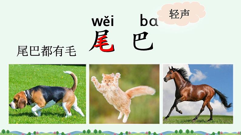 6《比尾巴》课件PPT+教案+音视频素材05