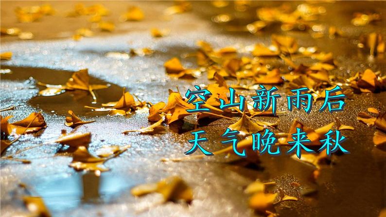 5 铺满金色巴掌的水泥道（课件PPT+素材）01