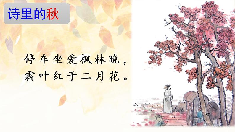 5 铺满金色巴掌的水泥道（课件PPT+素材）02