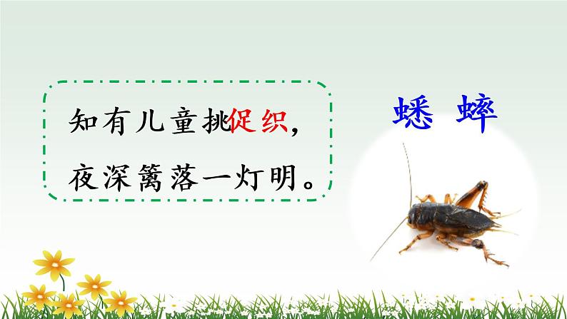 10 在牛肚子里旅行（课件PPT+素材）01