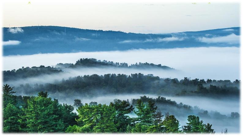 20 美丽的小兴安岭（课件PPT+素材）04