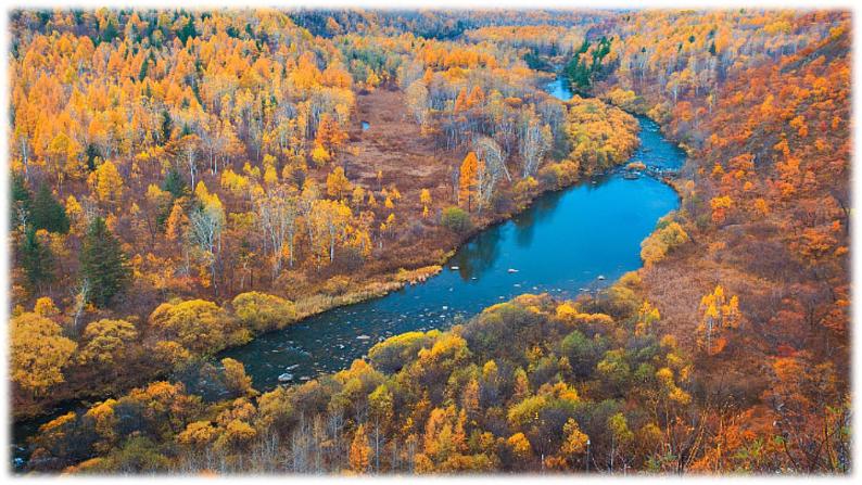 20 美丽的小兴安岭（课件PPT+素材）05