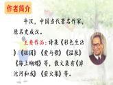 23 父親、樹(shù)林和鳥(niǎo)（課件PPT+素材）
