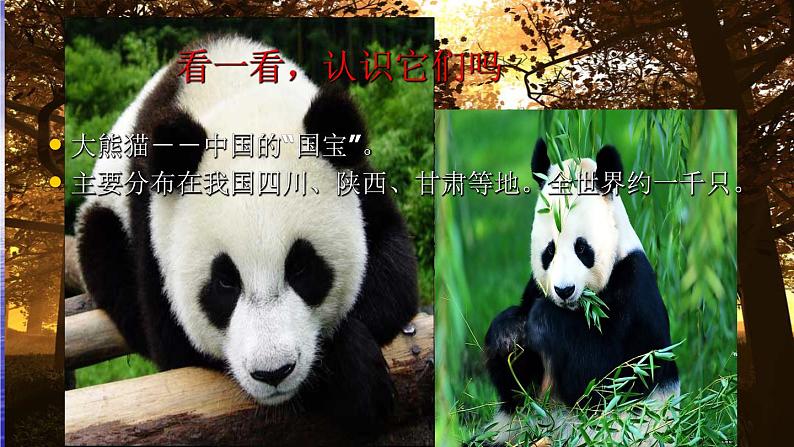 六年级上册语文人教部编版 习作：学写倡议书  课件02