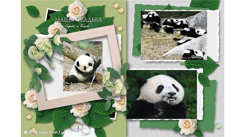 六年级上册语文人教部编版 习作：学写倡议书  课件03