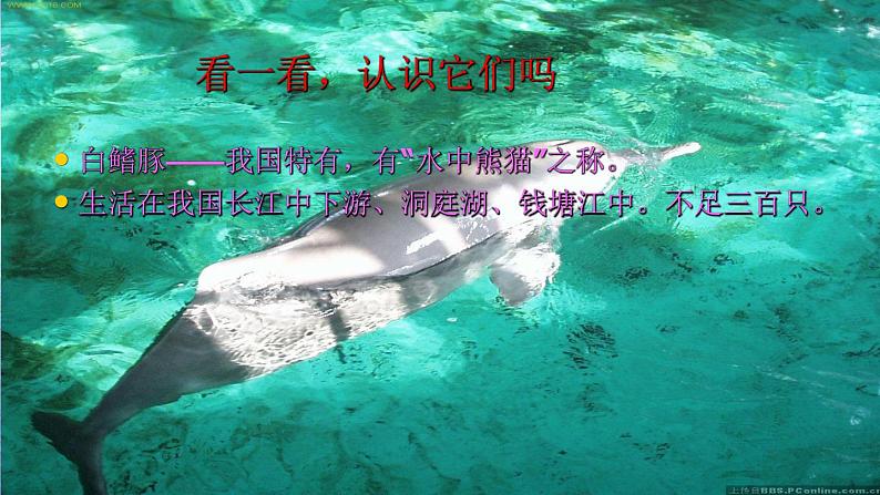 六年级上册语文人教部编版 习作：学写倡议书  课件04