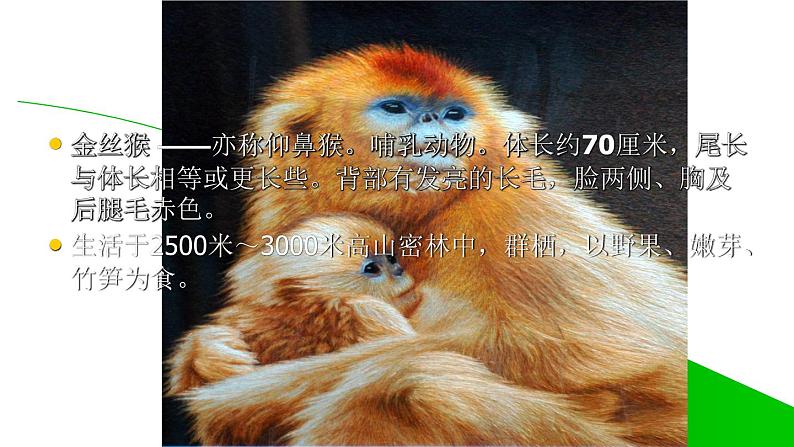 六年级上册语文人教部编版 习作：学写倡议书  课件06