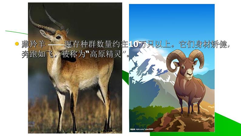 六年级上册语文人教部编版 习作：学写倡议书  课件07