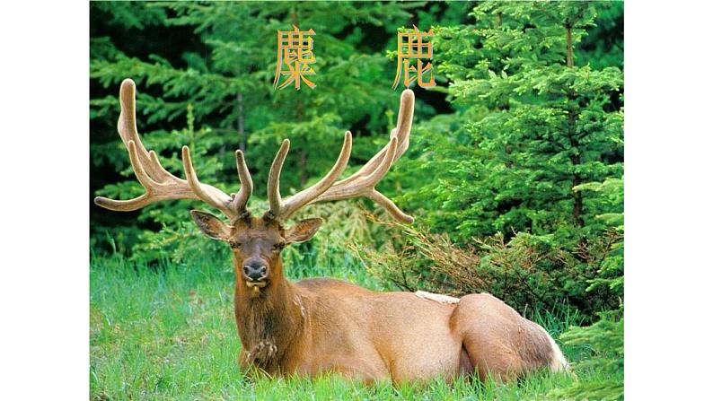 六年级上册语文人教部编版 习作：学写倡议书  课件08