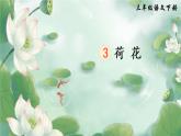 3 荷花 課件PPT+音視頻素材（送生字課件+教案）