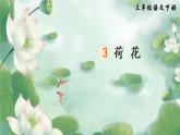 3 荷花 课件PPT+音视频素材（送生字课件+教案）