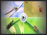 4 昆虫备忘录 课件PPT+音视频素材（送生字课件+教案）