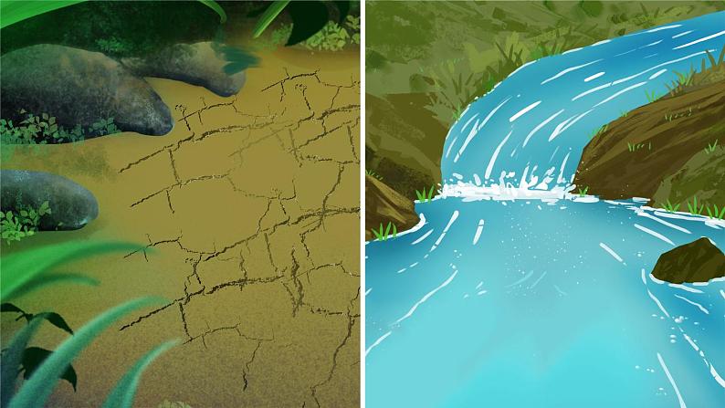 8 池子与河流 课件PPT+音视频素材（送教案）01