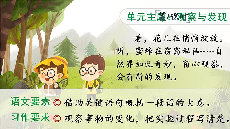 13 花钟 课件PPT+音视频素材（送生字课件+教案）02