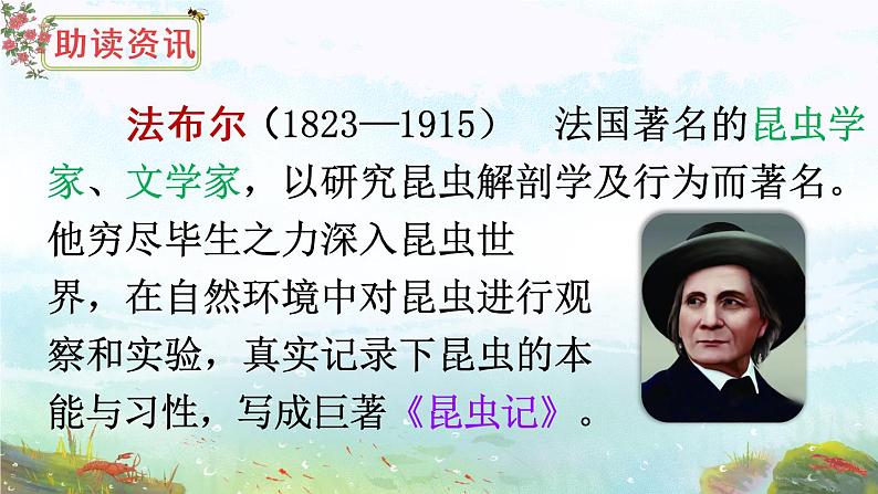 14 蜜蜂 课件PPT+音视频素材（送生字课件+教案）04