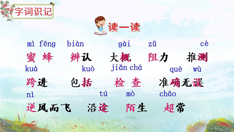 14 蜜蜂 课件PPT+音视频素材（送生字课件+教案）05