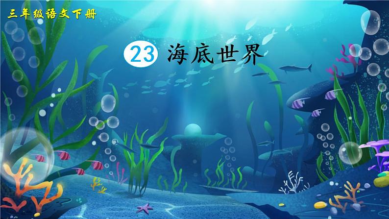 23 海底世界 课件PPT+音视频素材（送生字课件+教案）03