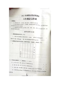河南省南阳市西峡县2022-2023学年六年级上学期期中语文试卷