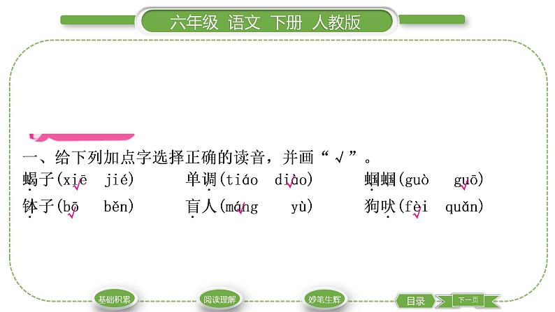 人教版六年级语文下第五单元16表里的生物习题课件02