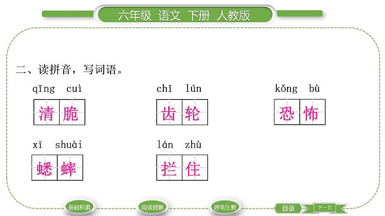 人教版六年级语文下第五单元16表里的生物习题课件03