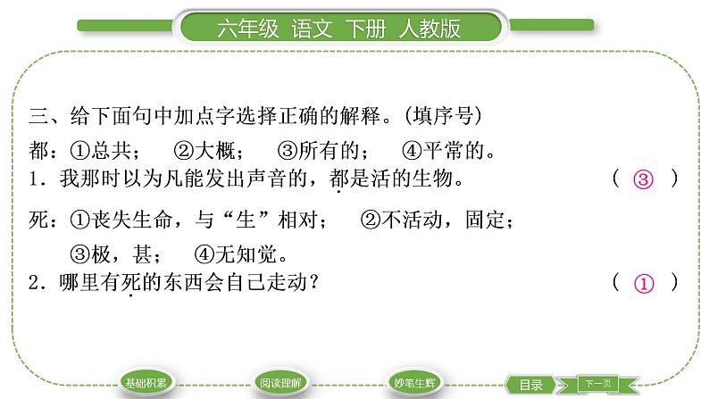 人教版六年级语文下第五单元16表里的生物习题课件04