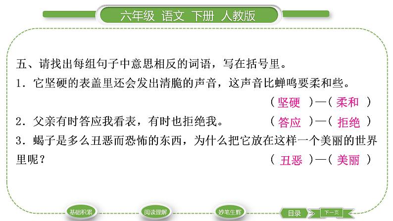 人教版六年级语文下第五单元16表里的生物习题课件06