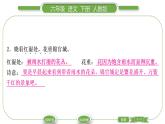 人教版六年級(jí)語(yǔ)文下古詩(shī)詞誦讀3春夜喜雨習(xí)題課件