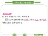 人教版六年級語文下古詩詞誦讀5江上漁者習(xí)題課件