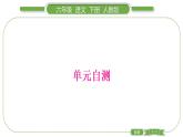 人教版六年級(jí)語文下第四單元單元自測習(xí)題課件