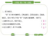 人教版六年级语文下第一单元4藏　戏习题课件