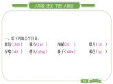 人教版六年級(jí)語文下第一單元單元自測(cè)習(xí)題課件