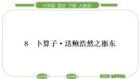 人教部编版六年级下册8 卜算子·送鲍浩然之浙东习题课件ppt