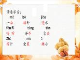 人教版语文五年级上册《落花生》 ppt
