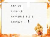 人教版语文五年级上册《落花生》 ppt